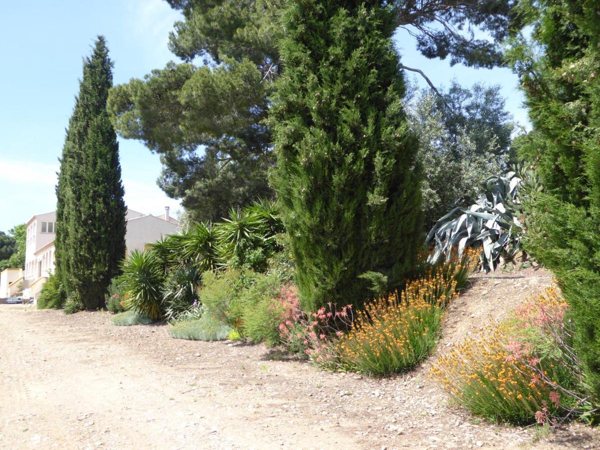 Domaine De L'Herbe Sainte Mirepeisset Exterior foto