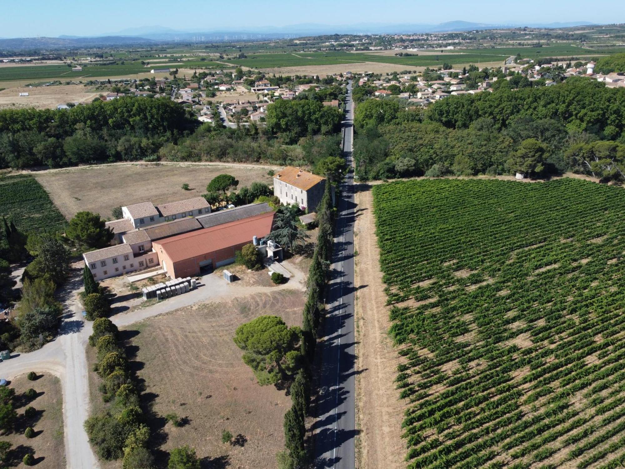 Domaine De L'Herbe Sainte Mirepeisset Exterior foto