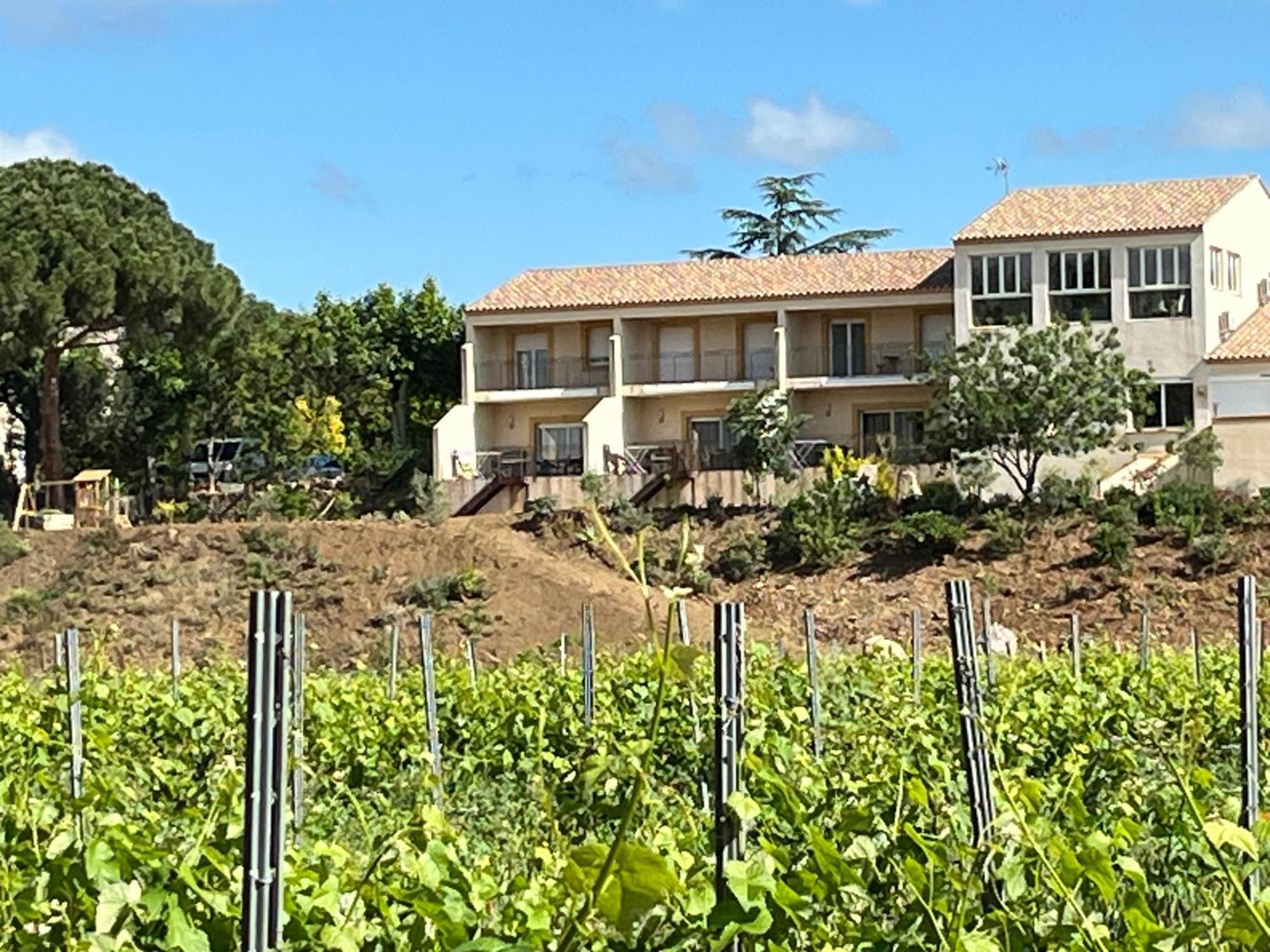 Domaine De L'Herbe Sainte Mirepeisset Exterior foto